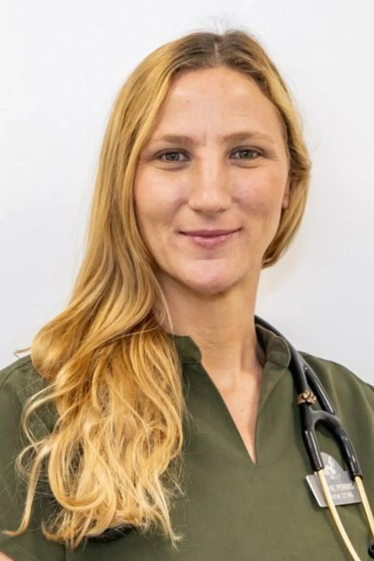 Smiling female veterinarian in green scrubs with stethoscope against white background
